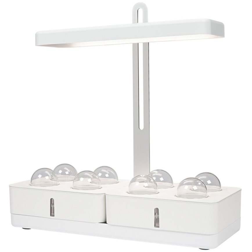 Ledvance - LED Lamp voor Binnen GARDEN KIT LED/24W/230V