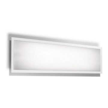 Ledvance - LED Paneel PLANON PLUS LED/36W/230/12V 300x1200