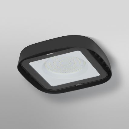 Ledvance - LED Plafond industriële verlichting HIGHBAY LED/80W/230V IP65 6500K