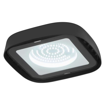 Ledvance - LED Plafond industriële verlichting HIGHBAY LED/80W/230V IP65 6500K
