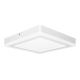 Ledvance - LED Plafond Lamp SQUARE LED/18W/230V