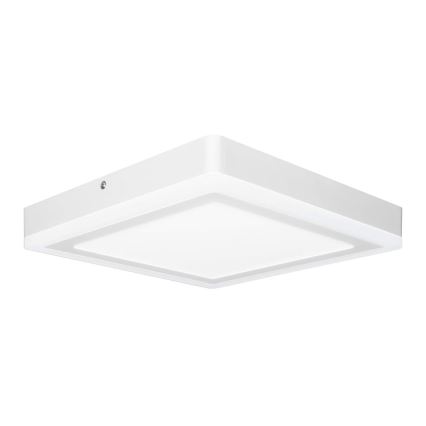 Ledvance - LED Plafond Lamp SQUARE LED/18W/230V