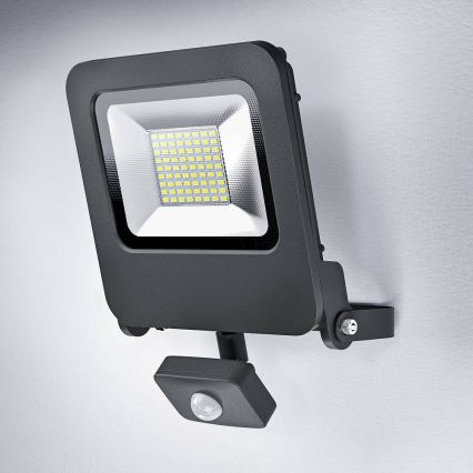 Ledvance - LED Schijnwerper met sensor ENDURA LED/50W/230V IP44