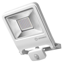 Ledvance - LED Schijnwerper met sensor ENDURA LED/50W/230V IP44