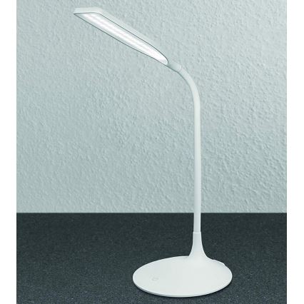 Ledvance - LED Tafellamp dimbaar PANAN LED/5W/5V
