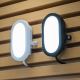 Ledvance - LED Wand Lamp voor Buiten BULKHEAD LED/11W/230V IP54 wit