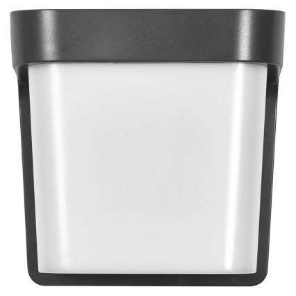 Ledvance - LED Wandlamp voor buiten ENDURA STYLE IHSAN LED/11W/230V IP65