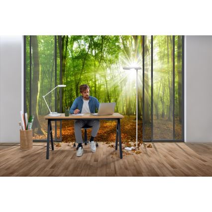 Ledvance - LED Dimbare Tafellamp SUN@HOME LED/15W/230V 2200-5000K CRI 95 Wi-Fi