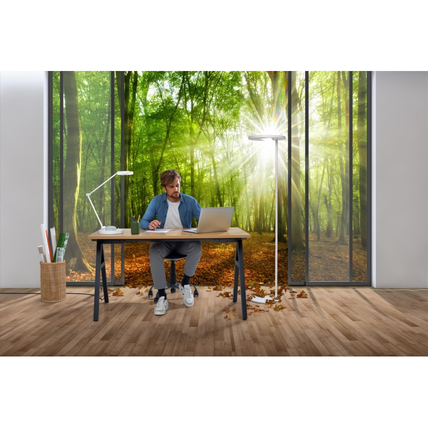 Ledvance - LED Dimbare Tafellamp SUN@HOME LED/15W/230V 2200-5000K CRI 95 Wi-Fi