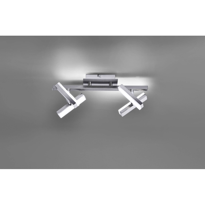 Leuchten Direkt 11277-55 - LED Spot RICO 4xLED/2W/230V