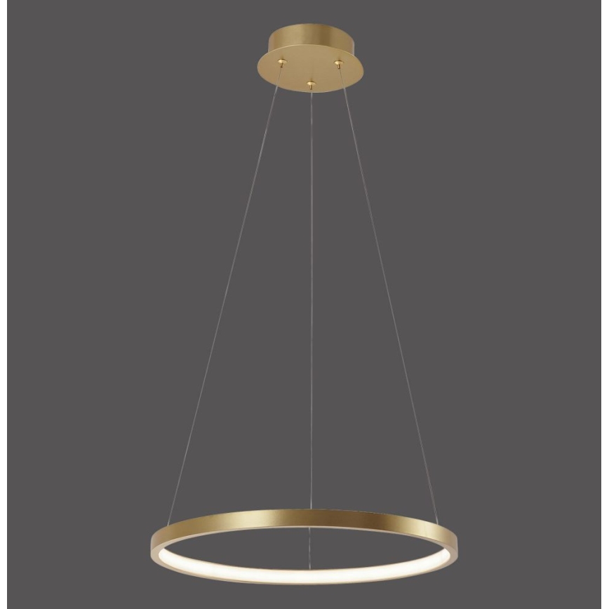 Leuchten Direkt 11522-12 - LED Hanglamp aan koord CIRCLE LED/19W/230V