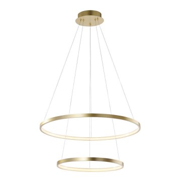 Leuchten Direkt 11525-12 -LED Hanglamp aan koord CIRCLE LED/18,5W/230V + LED/23,5W