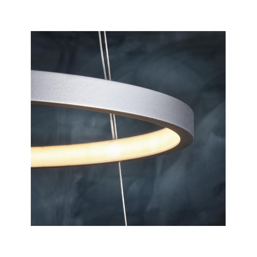 Leuchten Direkt 11525-21 - LED-kroonluchter aan draad CIRCLE 1xLED/15W/230V + LED/25W