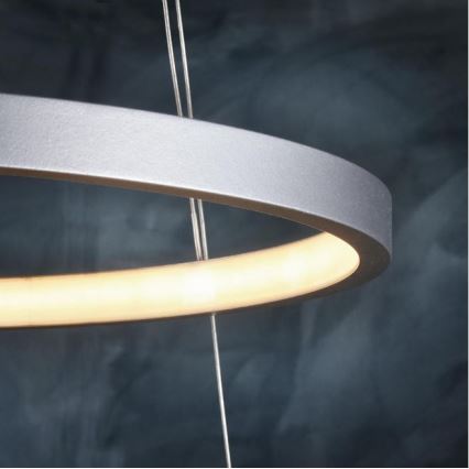 Leuchten Direkt 11525-21 - LED-kroonluchter aan draad CIRCLE 1xLED/15W/230V + LED/25W
