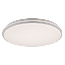 Leuchten Direkt 14209-16 - Dimbare LED Plafond Lamp COLIN LED/32,4W/230V
