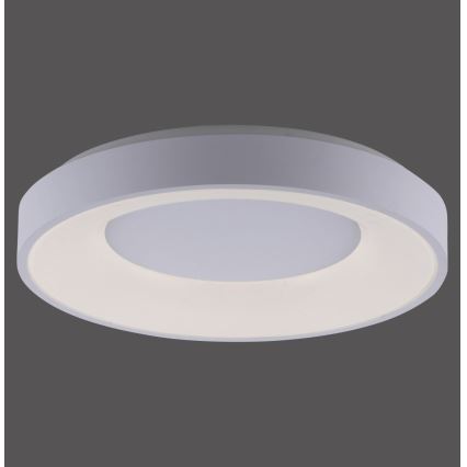 Leuchten Direkt 14326-16 - LED Dimlicht + afstandsbediening ANIKA LED/30W/230V + Afstandsbediening