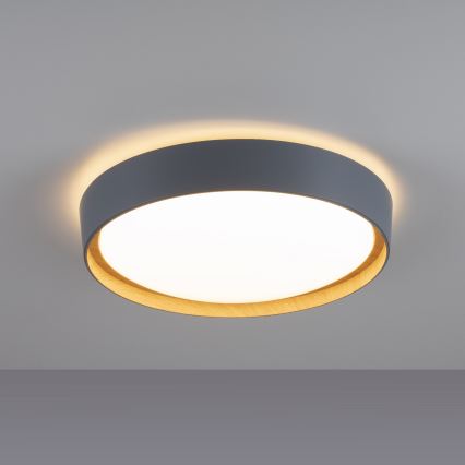 Leuchten Direkt 14347-15 - LED plafondlamp EMILIA LED/28,8W/230V grijs