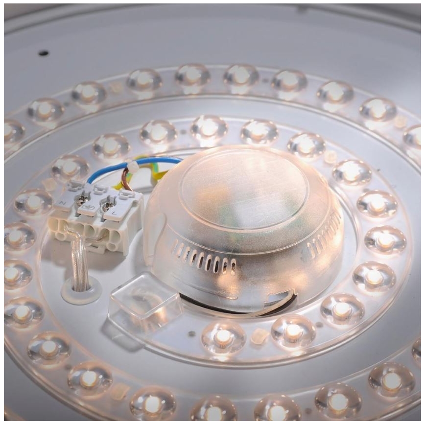 Leuchten Direkt 14422-17 - LED Badkamer Plafond Lamp met Sensor LAVINIA LED/18W/230V IP44