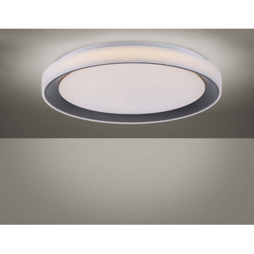 Leuchten Direkt 14659-18 - LED RGB Dimlicht + afstandsbediening LOLA LED/24W/230V Tuya + AB