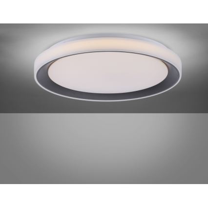Leuchten Direkt 14659-18 - LED RGB Dimlicht + afstandsbediening LOLA LED/24W/230V Tuya + AB