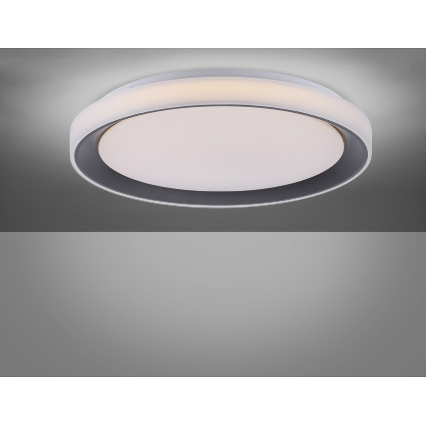 Leuchten Direkt 14659-18 - LED RGB Dimlicht + afstandsbediening LOLA LED/24W/230V Tuya + AB