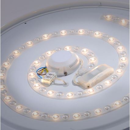 Leuchten Direkt 14822-17 - LED Badkamer Plafond Lamp met Sensor LAVINIA LED/40W/230V IP44