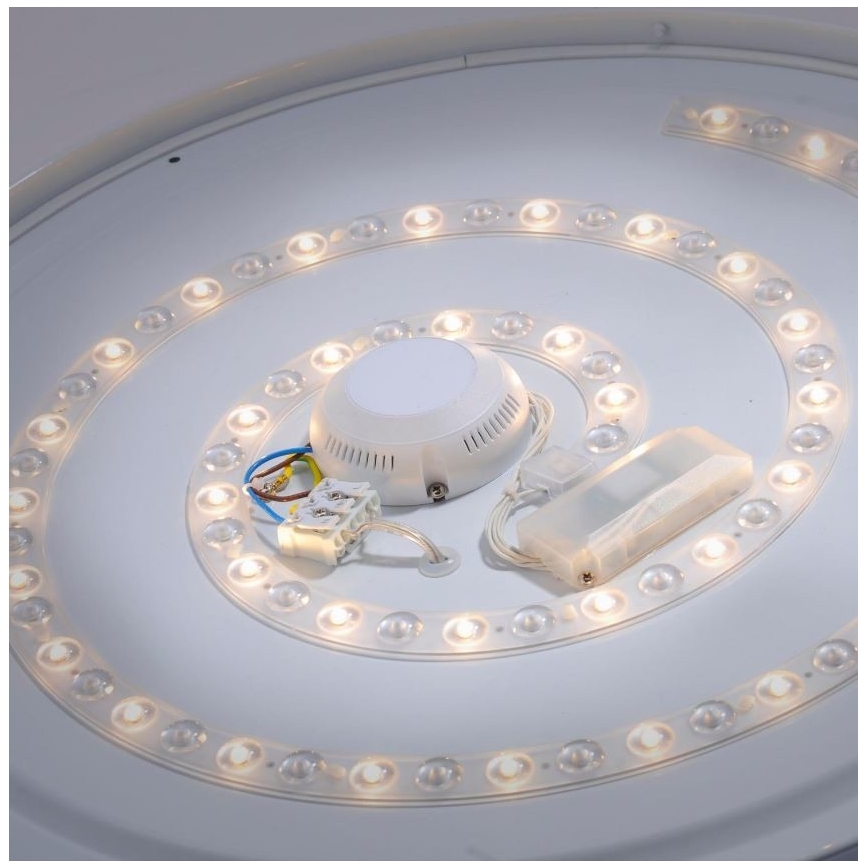 Leuchten Direkt 14822-17 - LED Badkamer Plafond Lamp met Sensor LAVINIA LED/40W/230V IP44