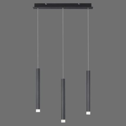 Leuchten Direkt 15203-18 - LED Hanglamp aan een koord 3xLED/4,8W/230V zwart