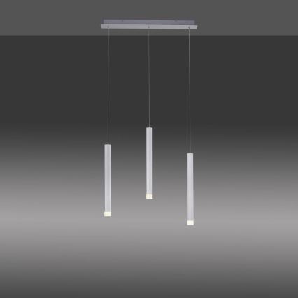 Leuchten Direkt 15203-95 - LED Hanglamp aan een koord BRUNO 3xLED/4,8W/230V wit