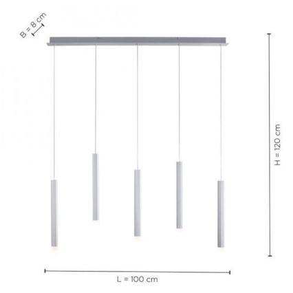 Leuchten Direkt 15205-95 - LED Hanglamp aan een koord BRUNO 5xLED/4,8W/230V