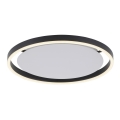 Leuchten Direkt 15391-13 - LED dimbare plafondlamp RITUS LED/20W/230V zwart