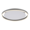 Leuchten Direkt 15391-95 - LED dimbare plafondlamp RITUS LED/20W/230V mat chroom