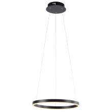Leuchten Direkt 15393-13- Dimbare LED Hanglamp aan een koord RITUS LED/20W/230V zwart