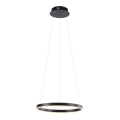 Leuchten Direkt 15393-13 - LED dimbare hanglamp aan kabel RITUS LED/20W/230V zwart