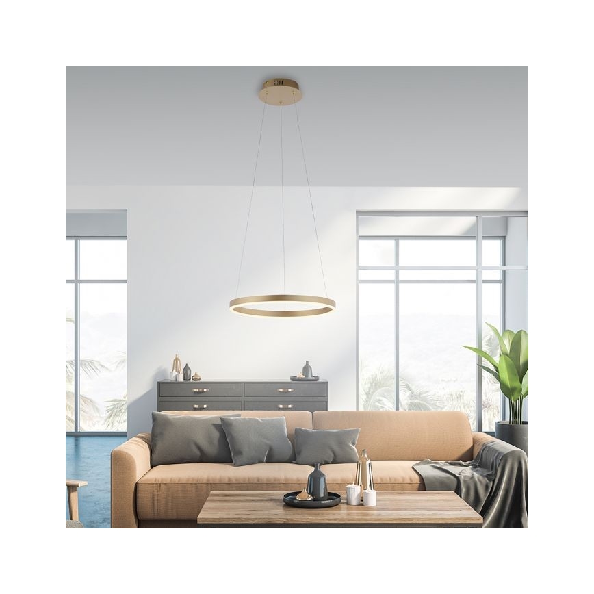 Leuchten Direkt 15393-60 - LED dimbare kroonluchter aan kabels RITUS LED/20W/230V