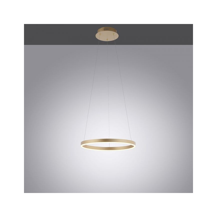 Leuchten Direkt 15393-60 - LED dimbare kroonluchter aan kabels RITUS LED/20W/230V