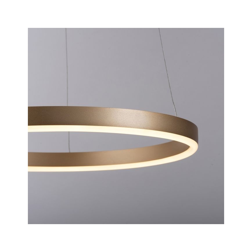 Leuchten Direkt 15393-60 - LED dimbare kroonluchter aan kabels RITUS LED/20W/230V