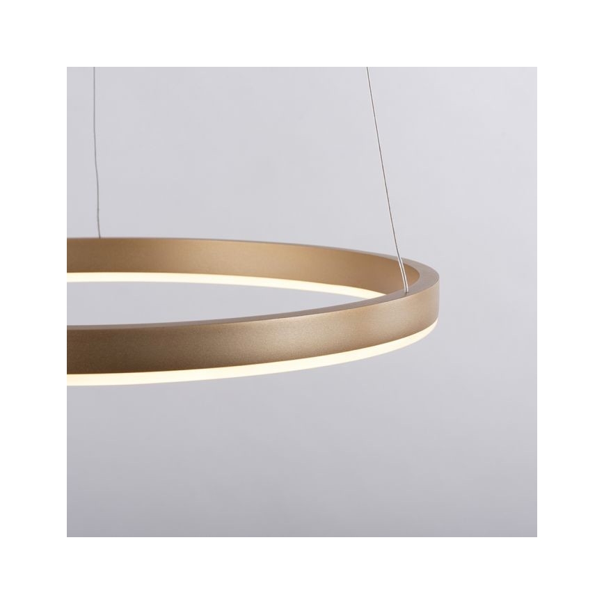 Leuchten Direkt 15393-60 - LED dimbare kroonluchter aan kabels RITUS LED/20W/230V
