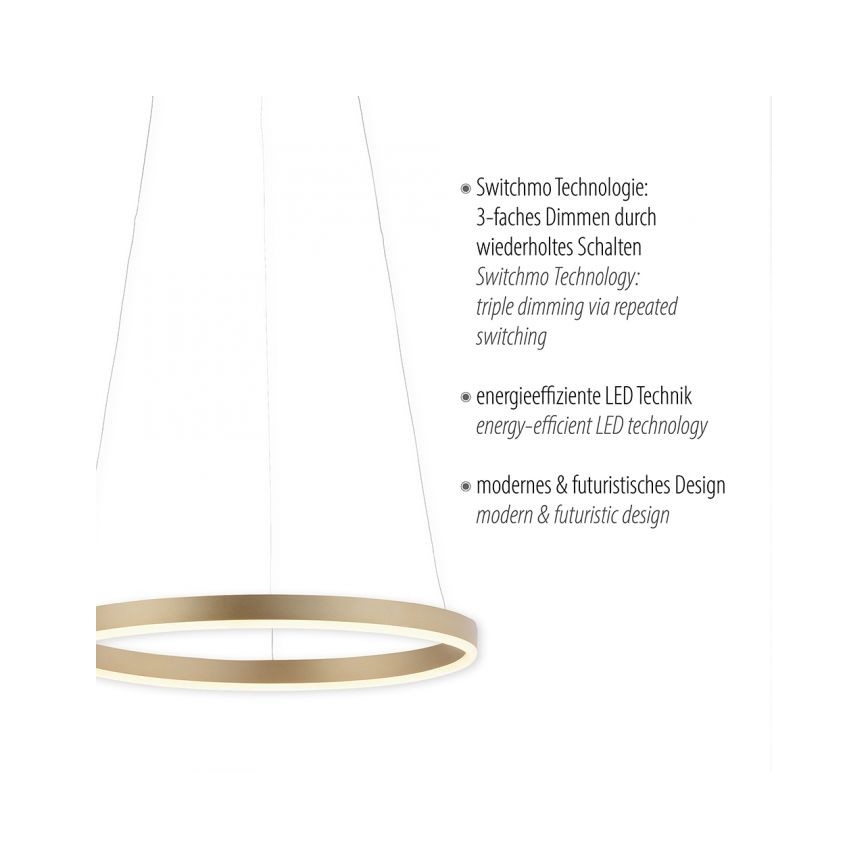 Leuchten Direkt 15393-60 - LED dimbare kroonluchter aan kabels RITUS LED/20W/230V
