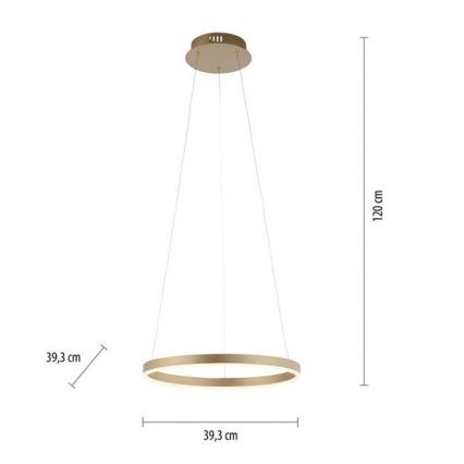 Leuchten Direkt 15393-60 - LED dimbare kroonluchter aan kabels RITUS LED/20W/230V