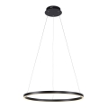 Leuchten Direkt 15394-13 - LED dimbare hanglamp aan kabel RITUS LED/30W/230V zwart
