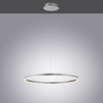 Leuchten Direkt 15394-95 - Dimbare LED hanglamp aan een koord RITUS LED/30W/230V mat chroom