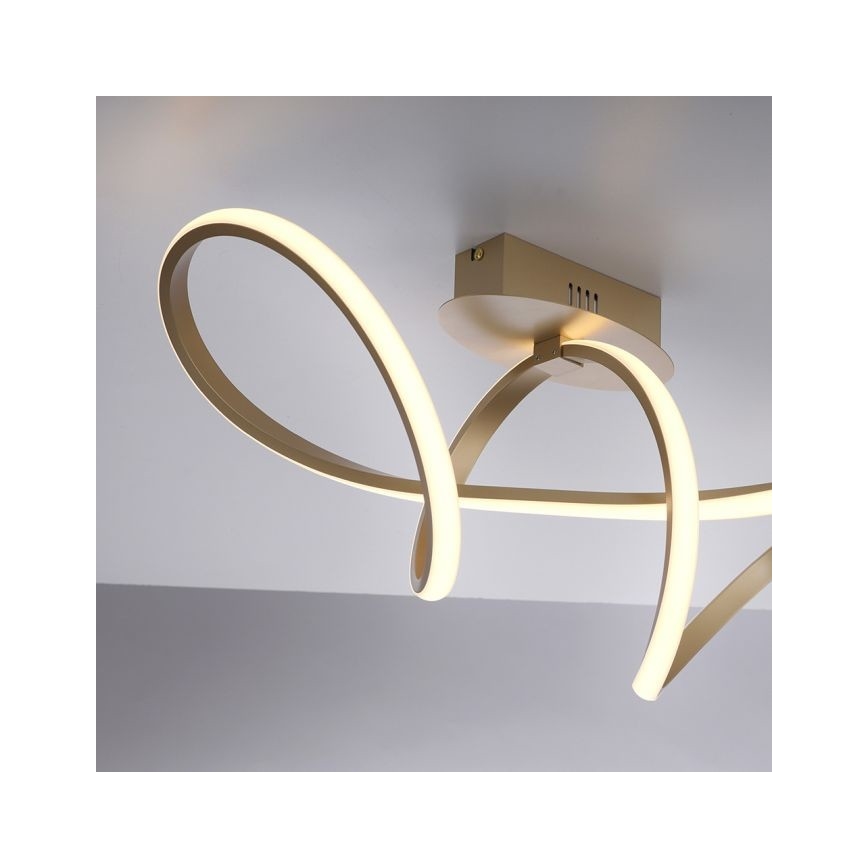 Leuchten Direkt 15403-60 - LED Dimbare plafondlamp MARIA LED/15,5W/230V
