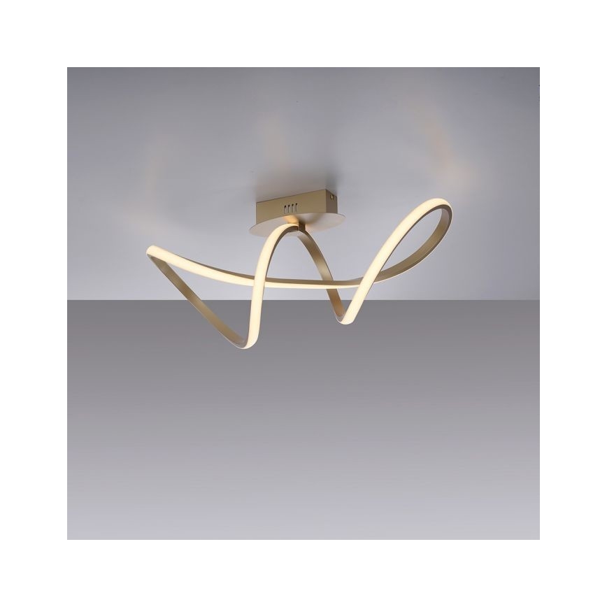 Leuchten Direkt 15403-60 - LED Dimbare plafondlamp MARIA LED/15,5W/230V
