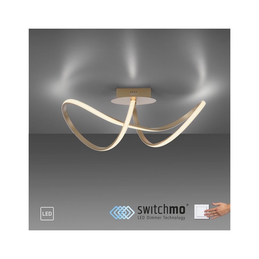 Leuchten Direkt 15403-60 - LED Dimbare plafondlamp MARIA LED/15,5W/230V