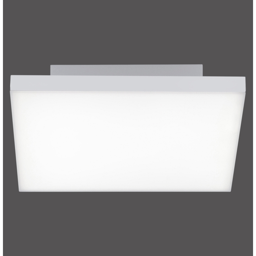 Leuchten Direkt 15550-16 - LED Dimlicht + afstandsbediening CANVAS LED/17W/230V + AB