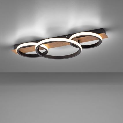 Leuchten Direkt 15616-78 - LED plafondlamp TROOPER LED/37W/230V