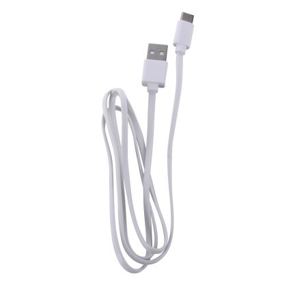 Leuchten Direkt 19250-16 - LED Buiten dimbare oplaadbare tafellamp EURIA LED/3W/5V 2600 mAh IP54 wit