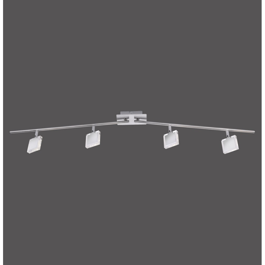 Leuchten Direkt - LED Spot TONY 4x LED / 4W / 230V