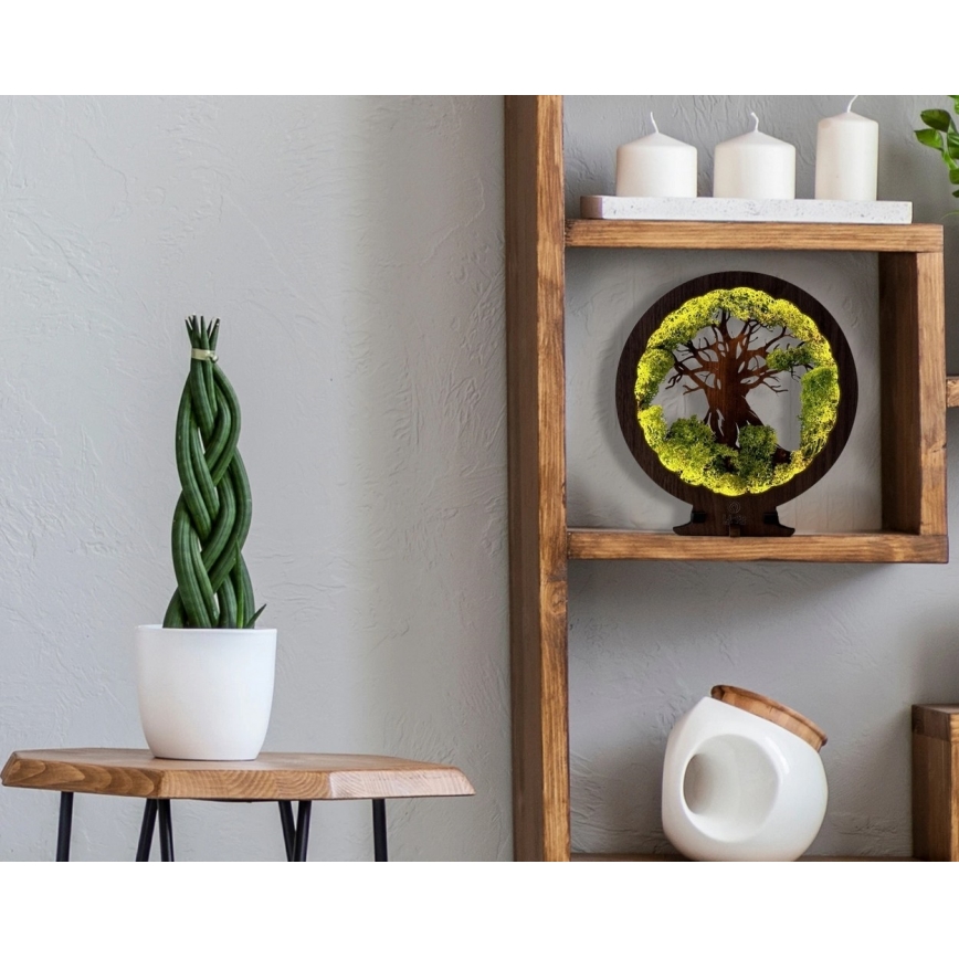 Li-Go 23604/DUB2 - Dimbare LED tafeldecoratie LED/12W/230V 20x22 cm eik/mos en boom